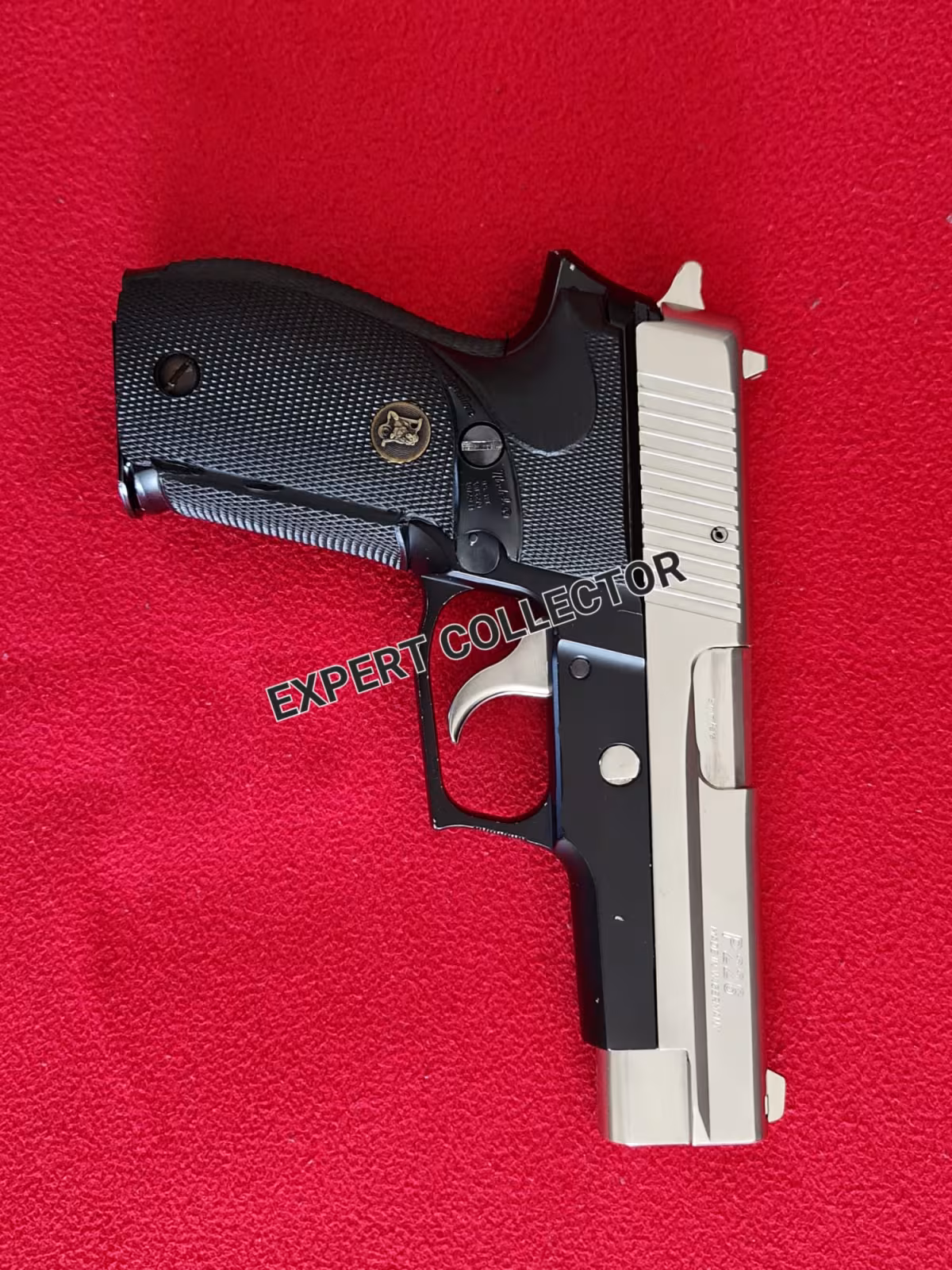 ALMAN SIG P226