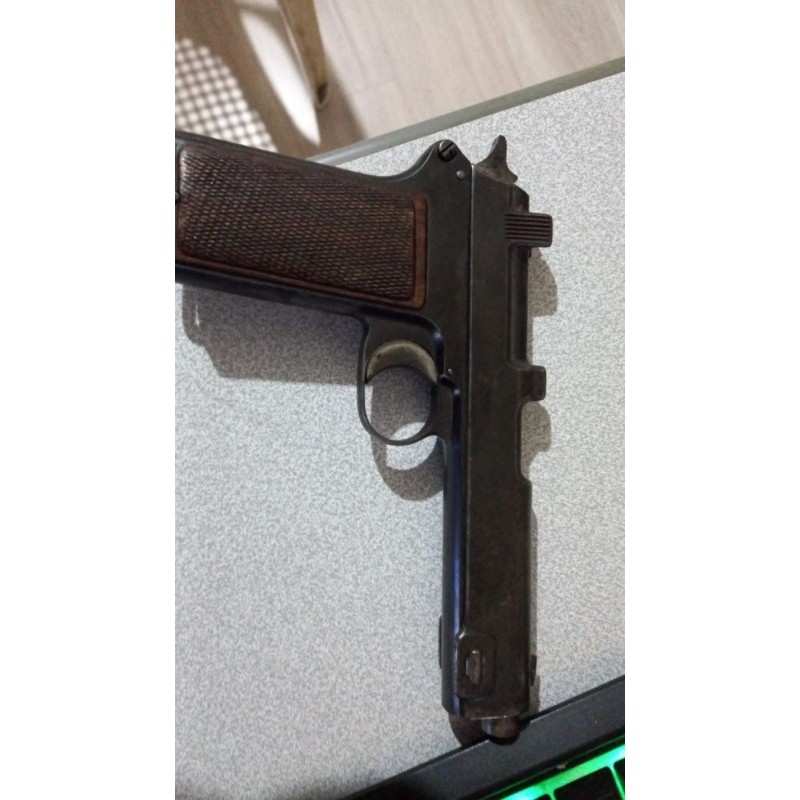 STEYR HAHN 1918