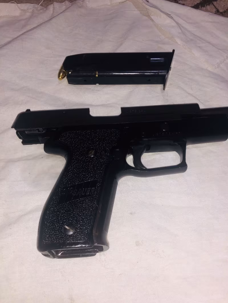 Sıfır denginde  sig saur