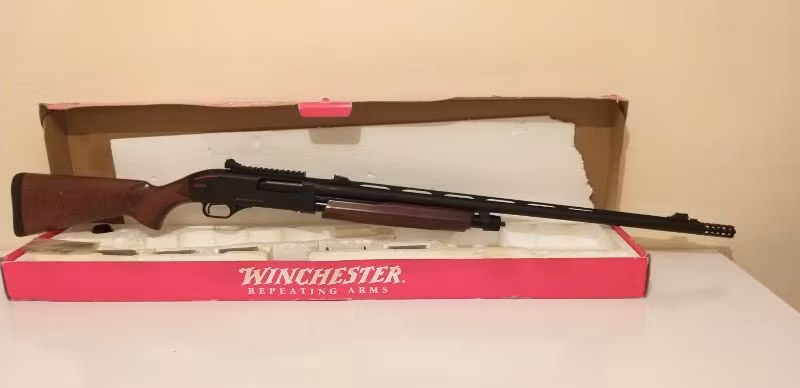 Whincester SXP Pompalı