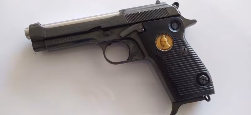 SADDAM BARETTA KAMU PERSONELİNDEN TEMİZ