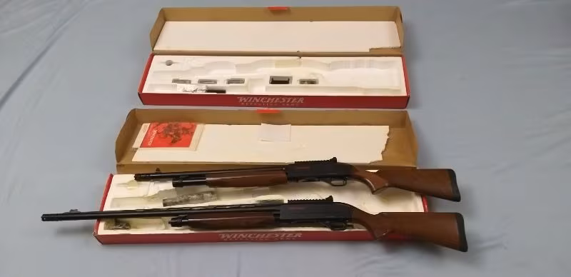 Whincester SXP Pompalı