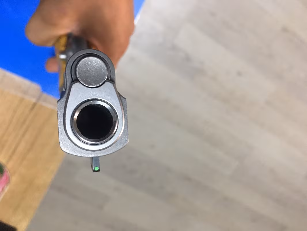 Ter temiz 1911 SİGSAUER