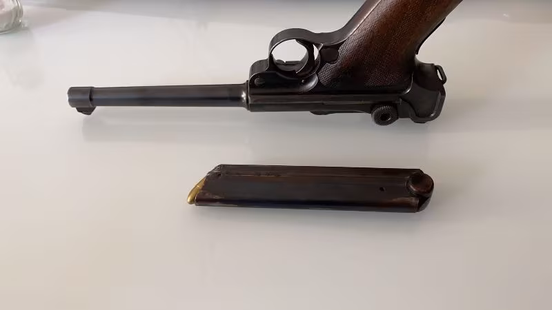 Hastasina parabellum