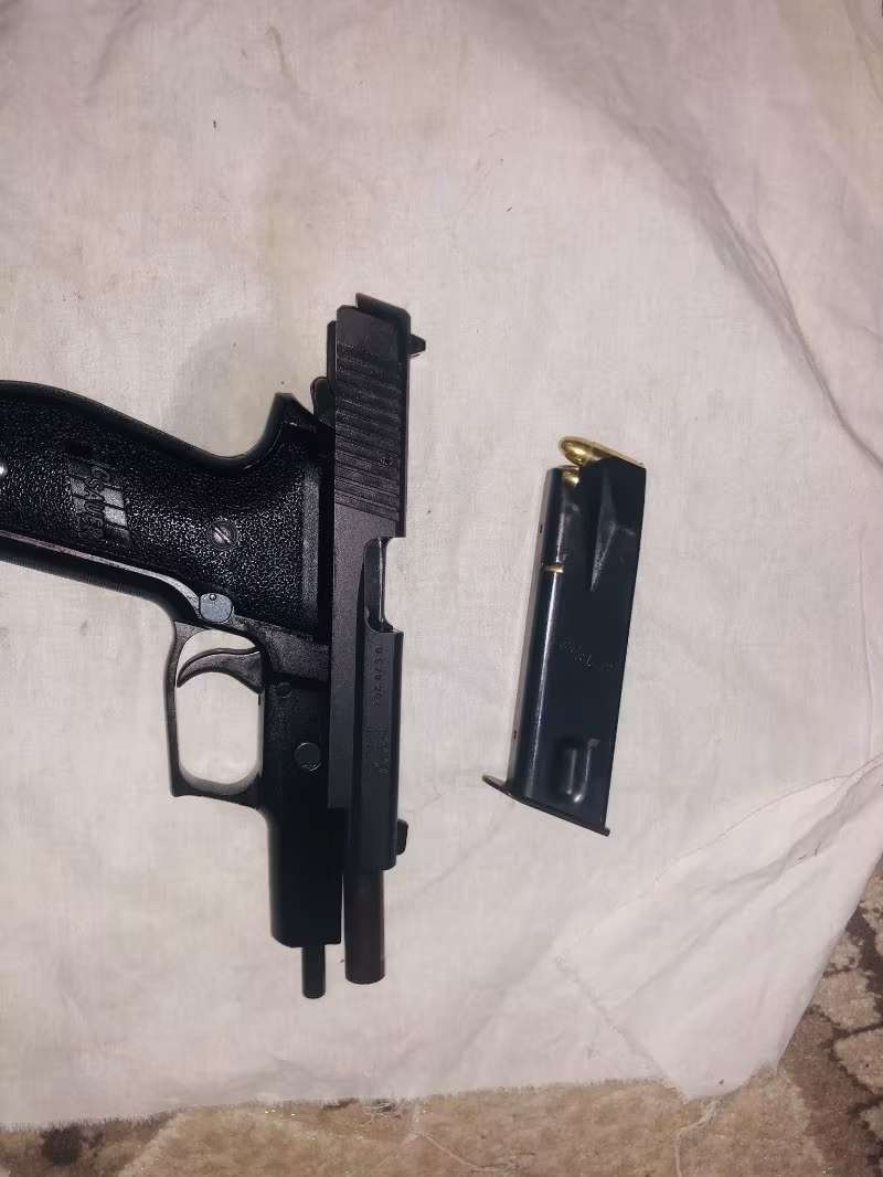 Sıfır denginde  sig saur