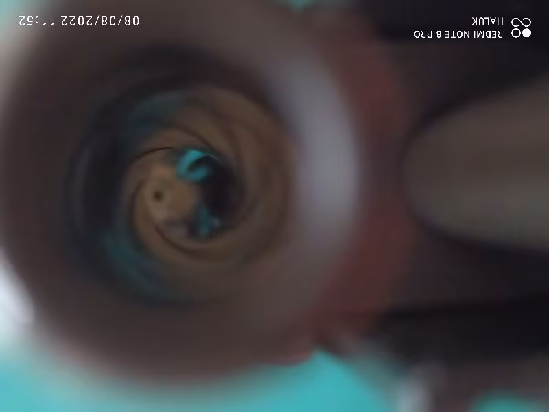 Sig Sauer P226 Germany