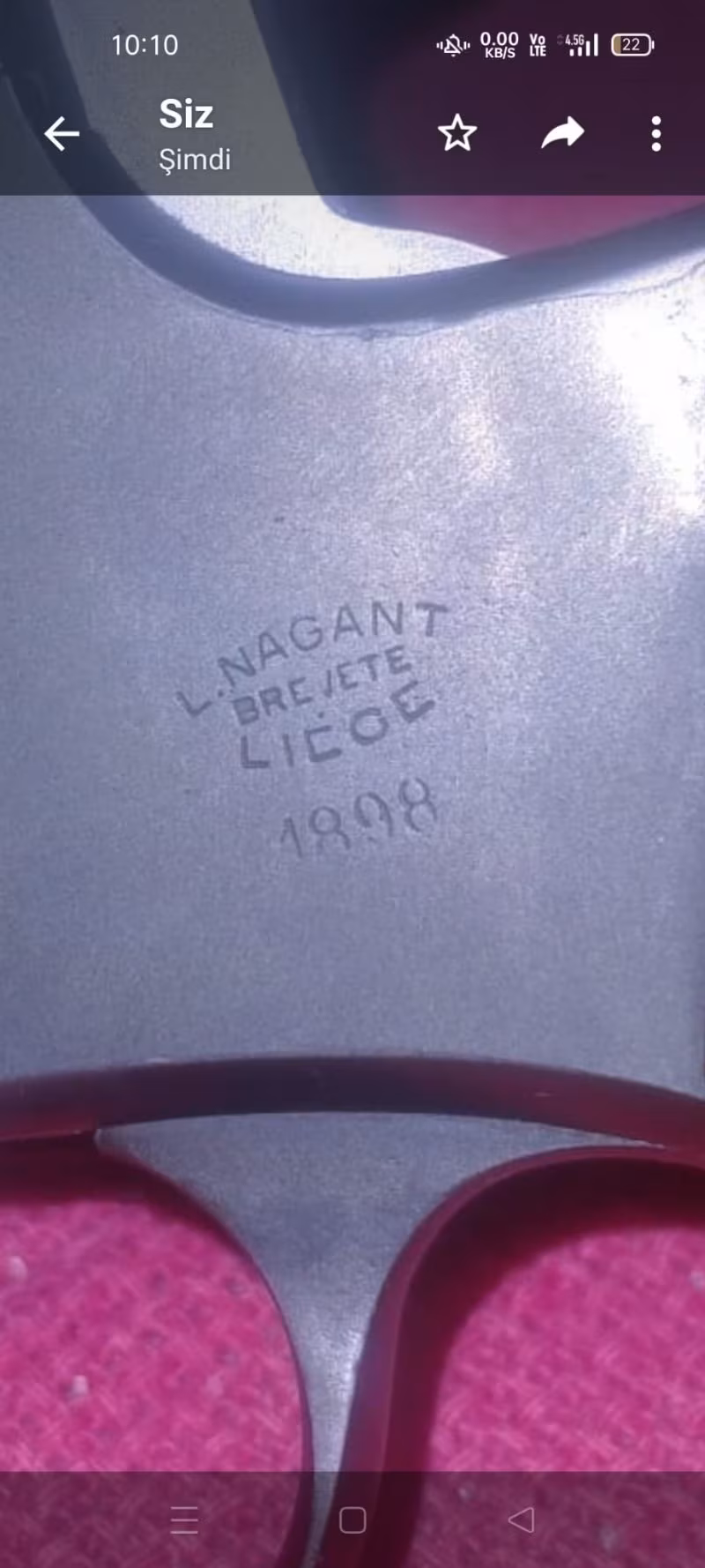 Temiz Rus nağant 1898