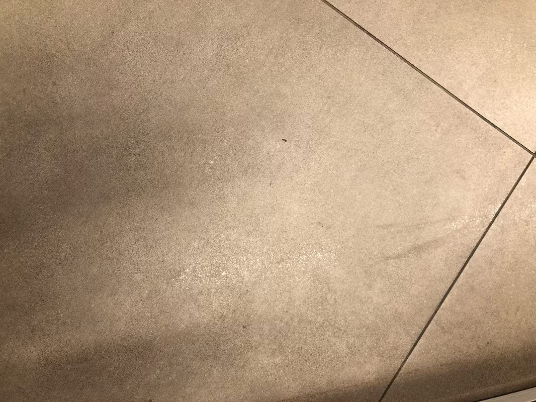 RÖHM RG8 ALMAN NAZİ SİLAHI