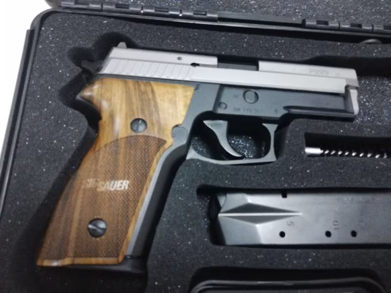 ALMAN SIG  SAUER P 229 TWO TONE