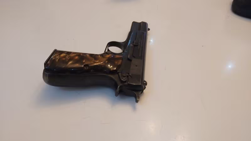 Browning 245 pv serisi