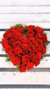 DESERT EAGLE 357 (ÇÖL KARTALI)