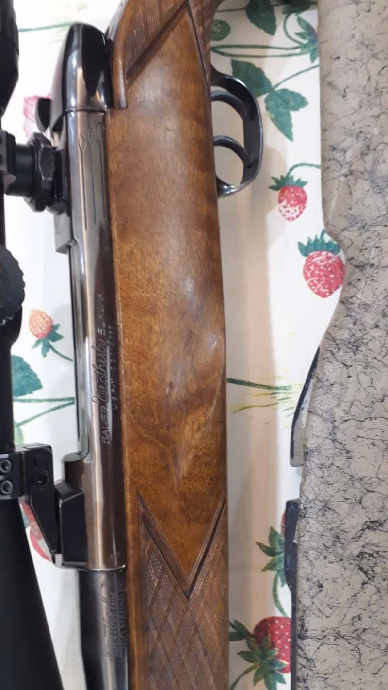 winchester weatherby