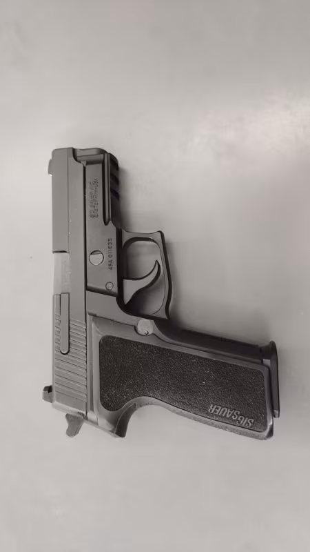 sig sauer p229 9 mm