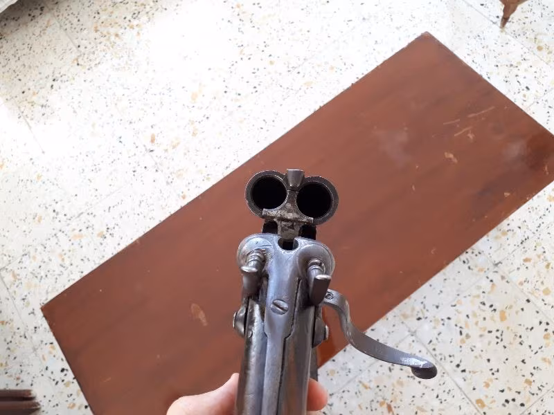 TÜRÜNÜN SON ÖRNEKLERİNDEN !