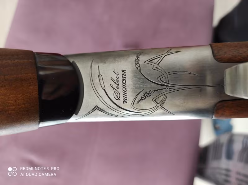 Winchester av tüfeği