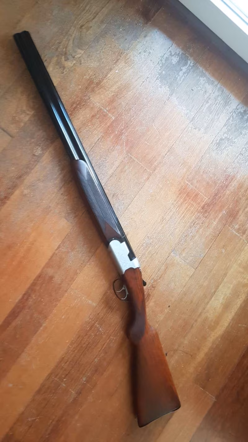 beretta model S 56 E