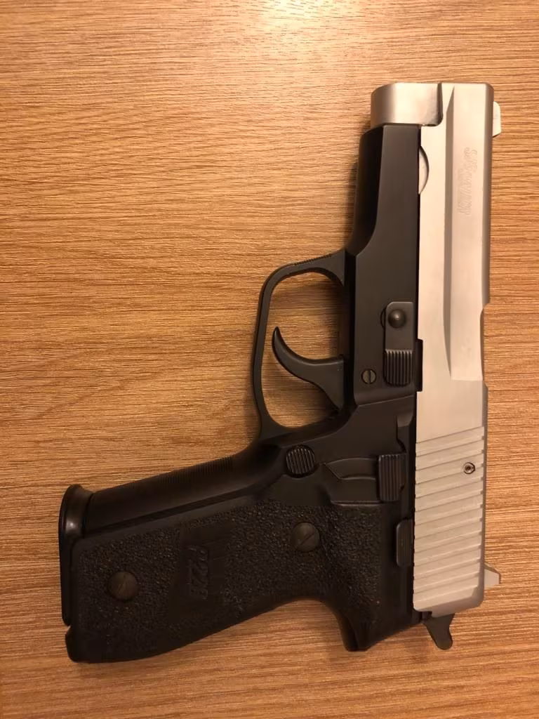 SİG SAUER P 228