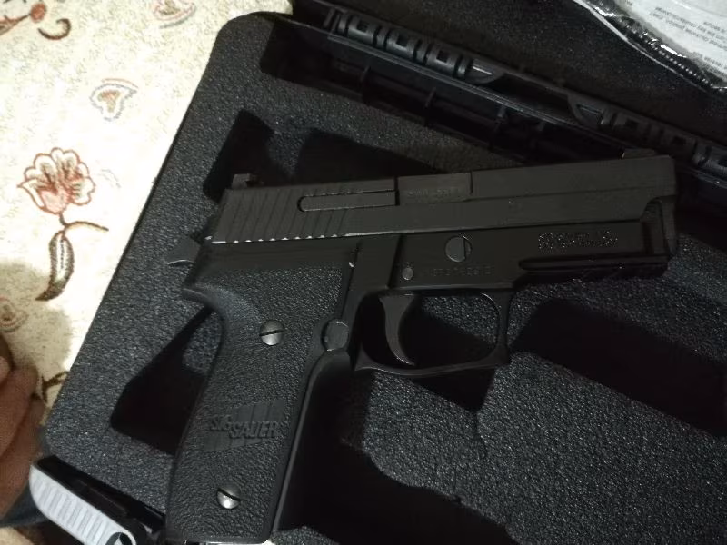 Sıg sauer p 229