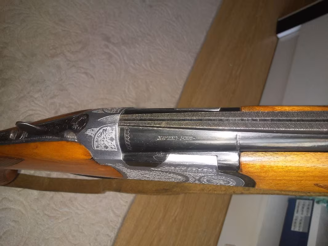 Süperpoze üzümlü kooperatif av tüfeği