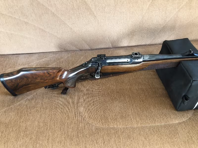 Sauer202