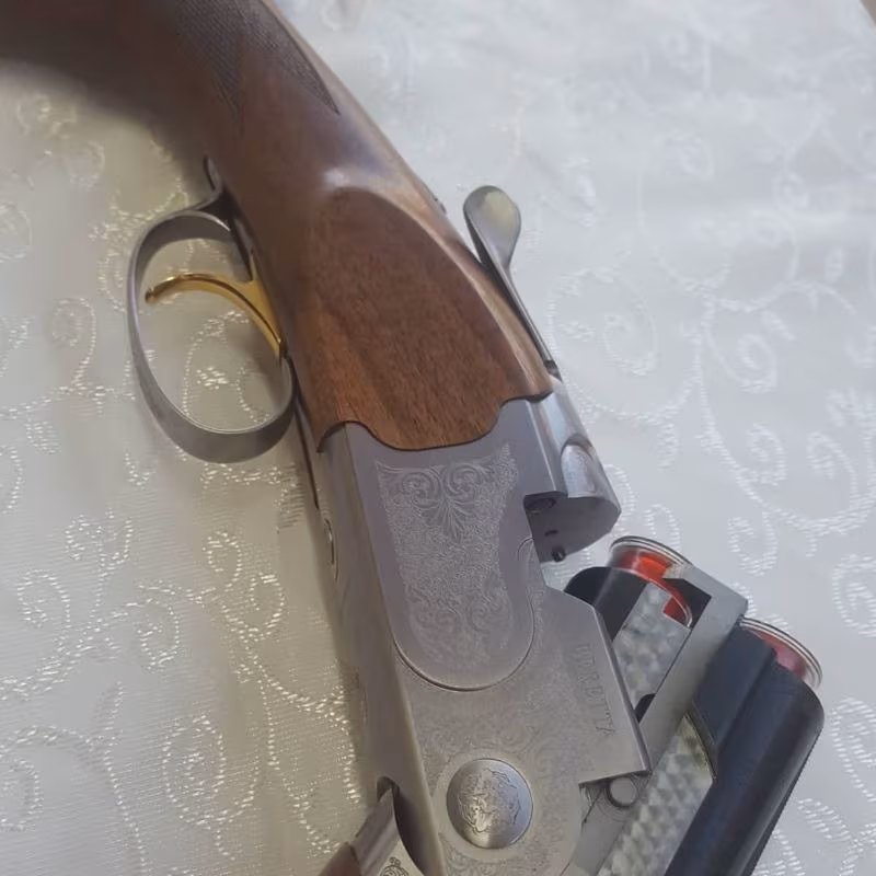 BERETTA SILVER PIGEON 1