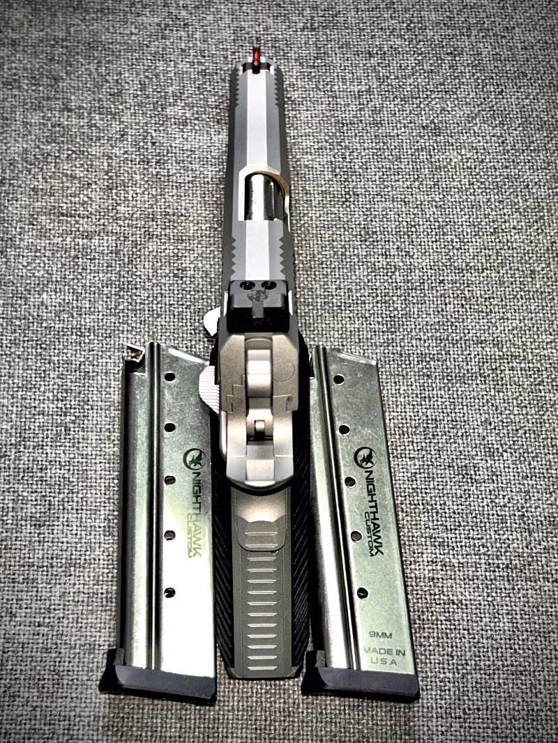 Nighthawk Custom Agent-2