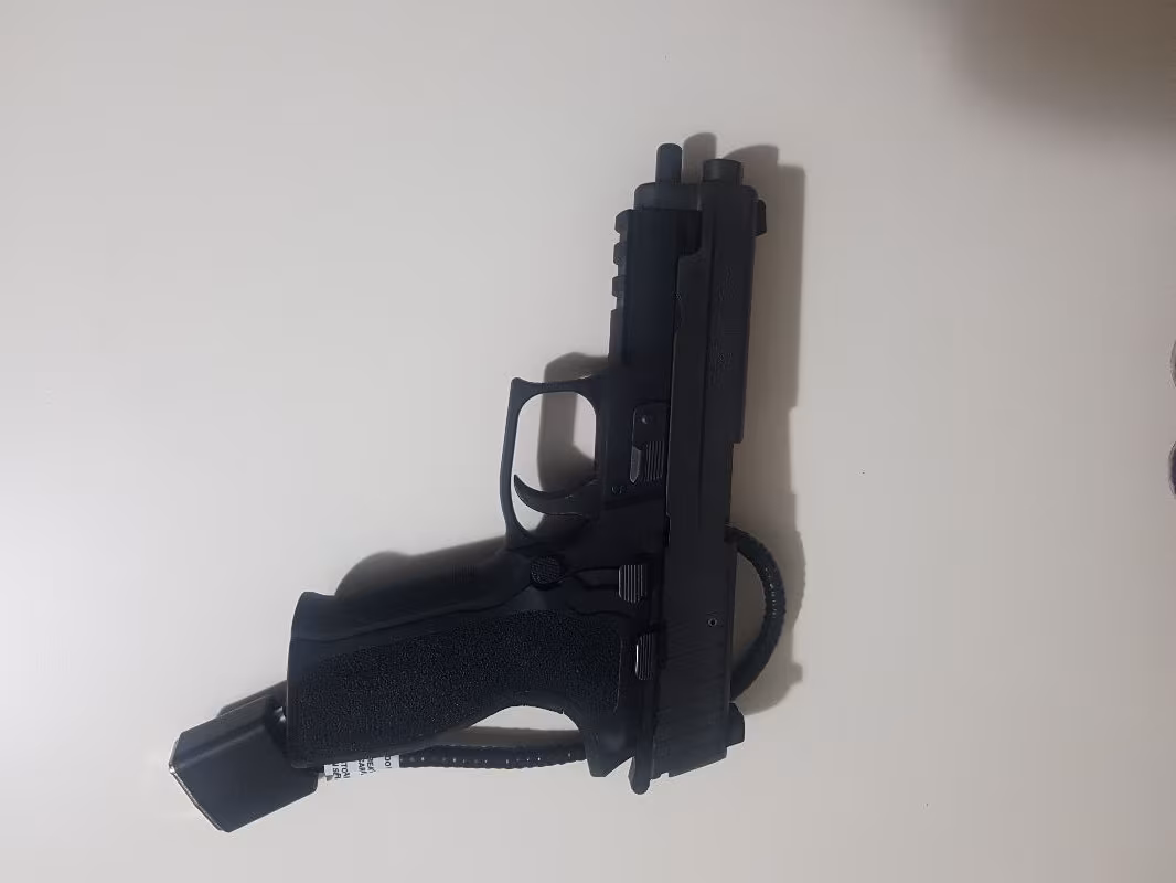Sig Sauer p226