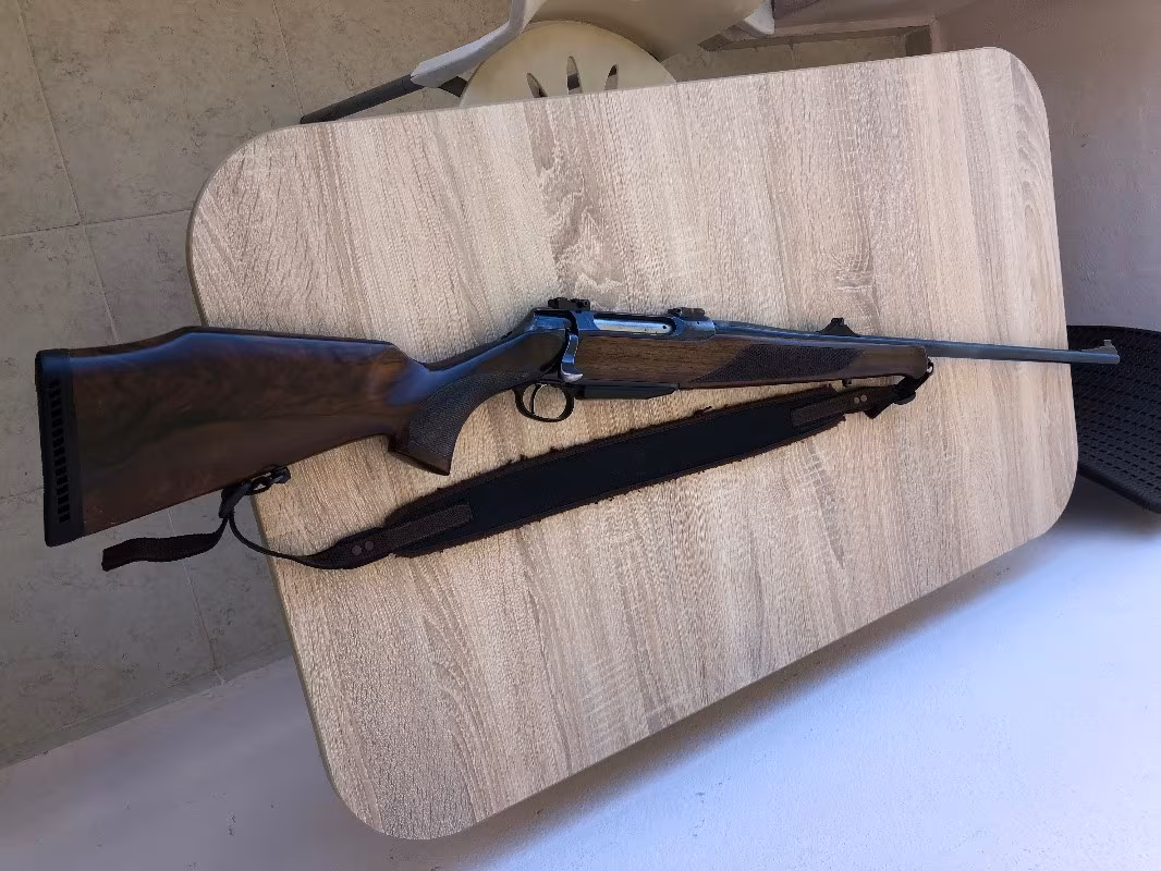 Sauer202