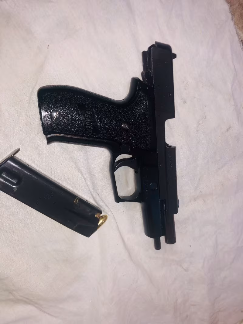 Sıfır denginde  sig saur