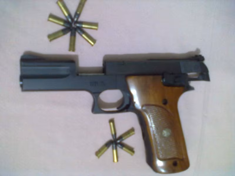 smith & wesson Model 422 22LR ( Lonk Rifle)