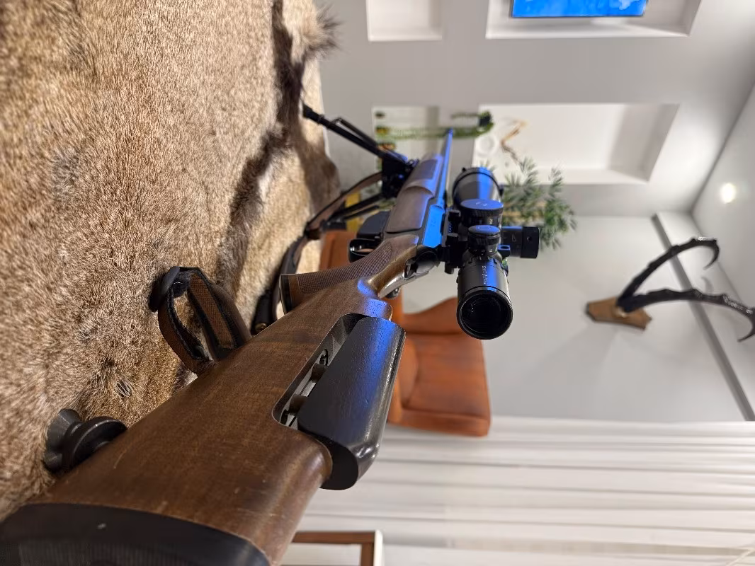 Sauer 202 jaktmatch 300 win mag