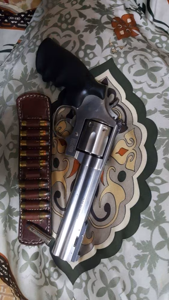 EMSALSİZ 357 Magnum