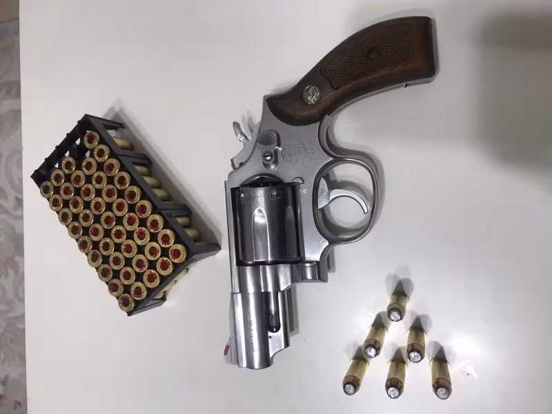 Smith wesson 957magnum