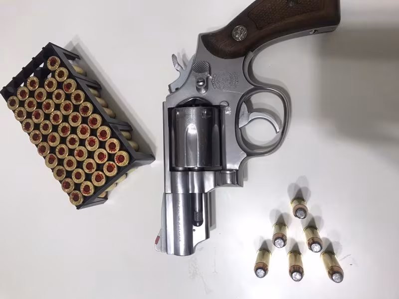 Smith wesson 957magnum