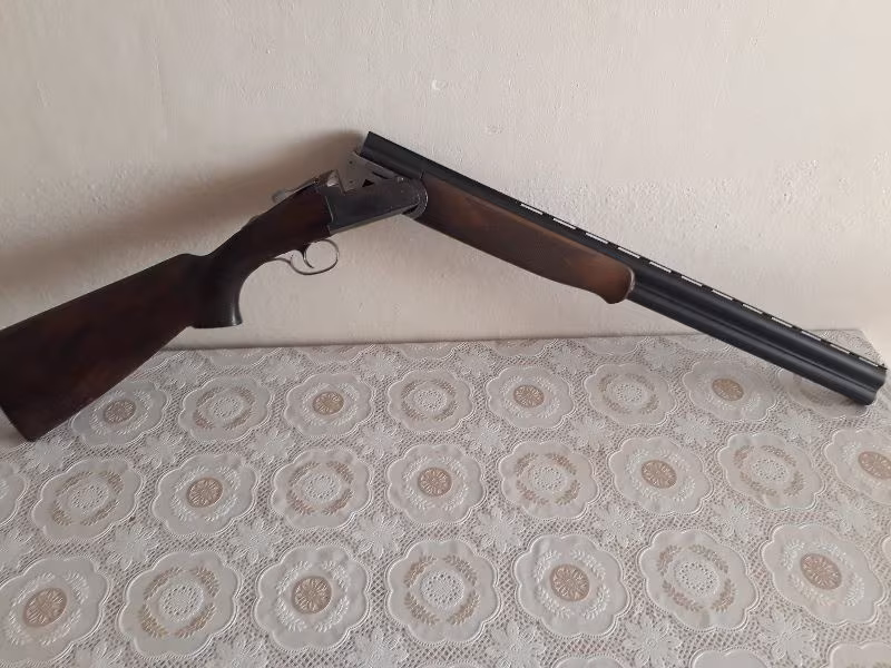 Winchester poze model 1001(95)