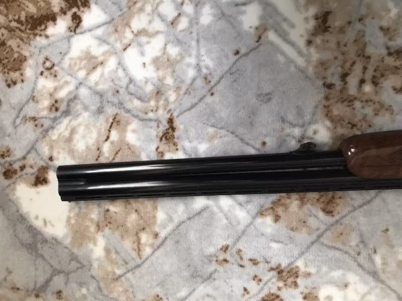 Üzümlü av tüfeği