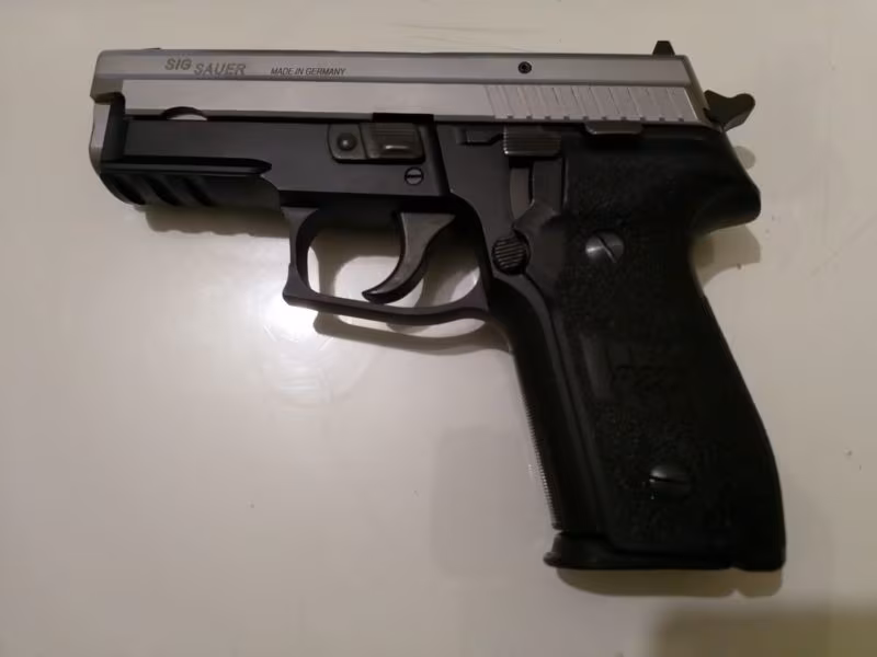 Sigsaur p229