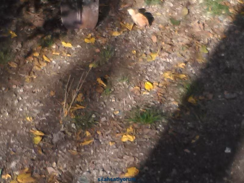 BROWNİNG özel RR SERİSİ