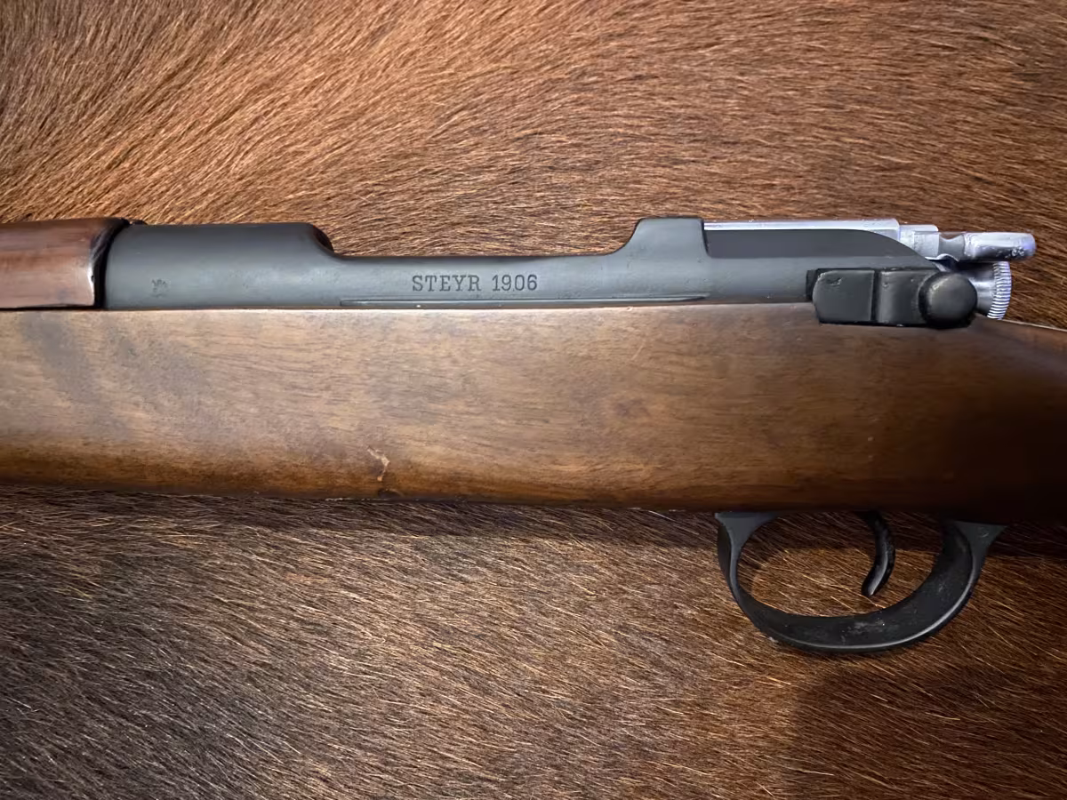 Steyr Yunan Filintası