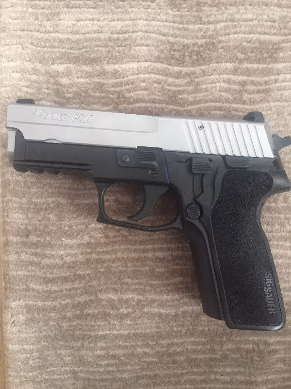 Sig p229 TwoTone